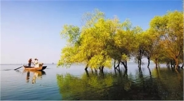 春暖花開南洞庭踏青、云夢(mèng)七色花洲一日游  