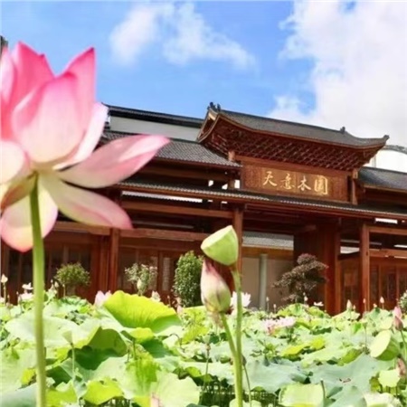益陽(yáng)天意木國(guó)木文化博物館、金家堤、一碑五館一日游