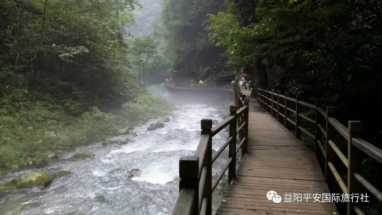 　張家界大峽谷、玻璃橋、黃龍洞品質(zhì)純玩兩日游c2