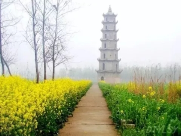 春暖花開南洞庭踏青、云夢七色花洲一日游  