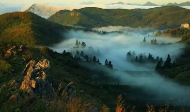 益陽(yáng)安化?天下茶道、云臺(tái)山、茶香花海2日游