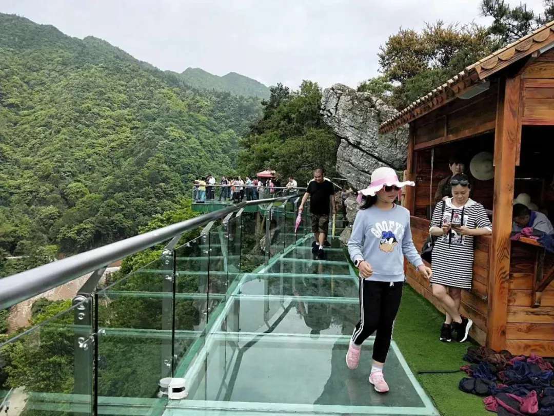 益陽(yáng)安化?天下茶道、云臺(tái)山、茶香花海2日游
