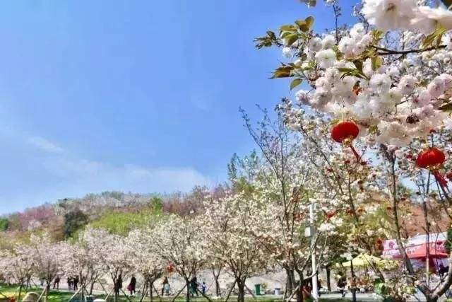 長沙潯龍河櫻花谷、田漢文化園一日游
