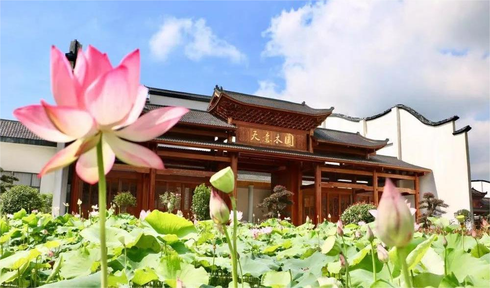 清溪村、天意木國(guó)景區(qū)、明清古巷、市博物館、胡林翼故居二日游